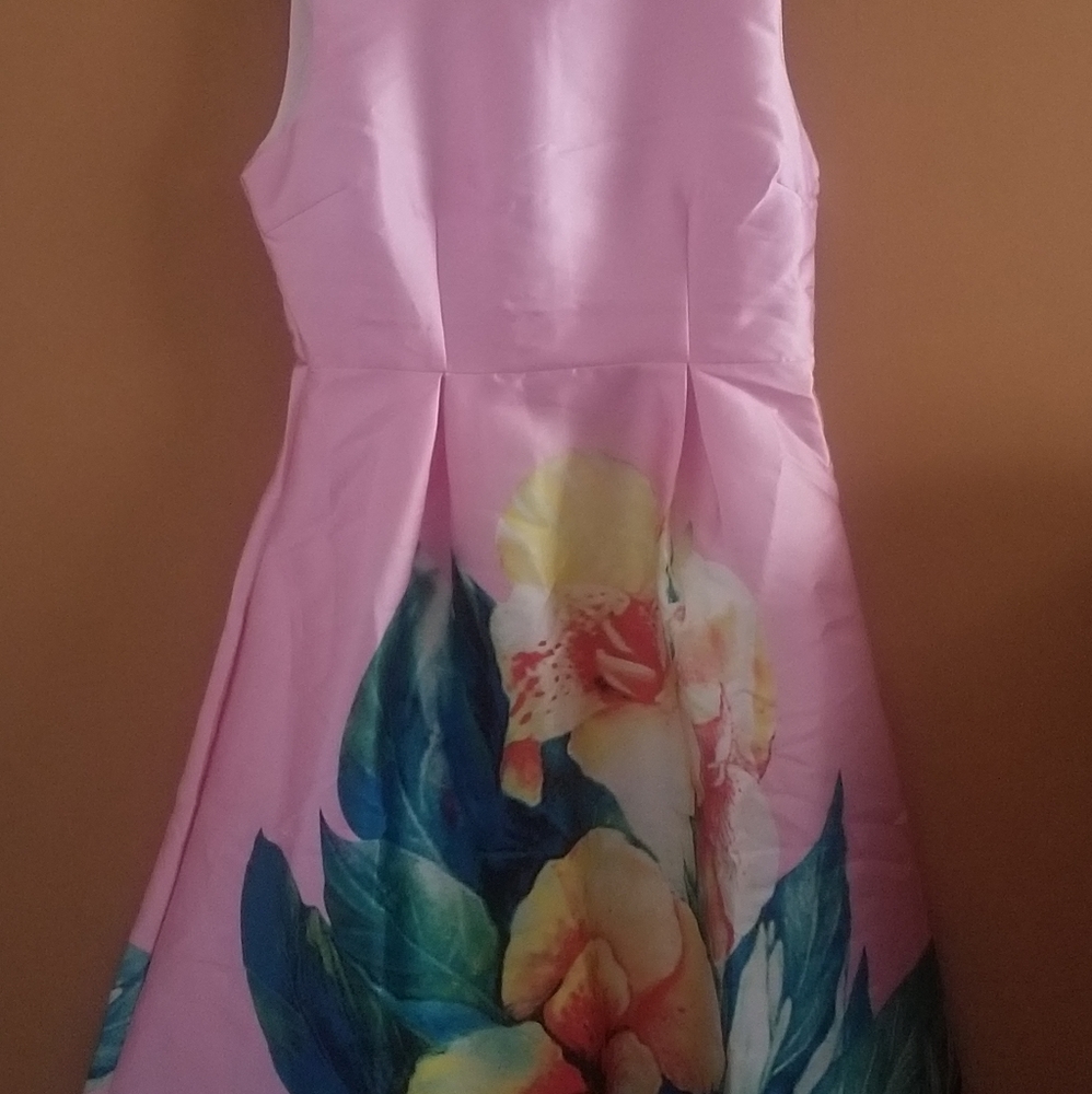 Pink Dress